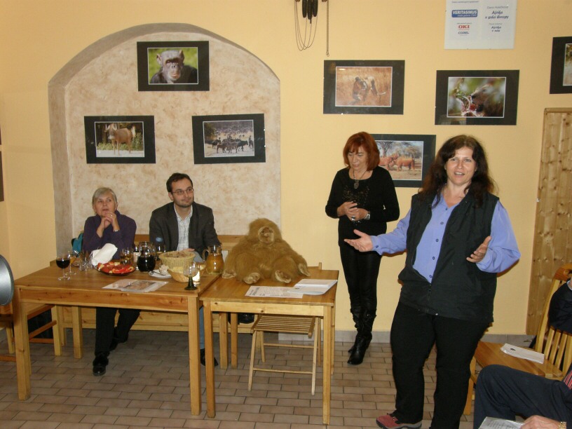 100128d_vernisaz4a