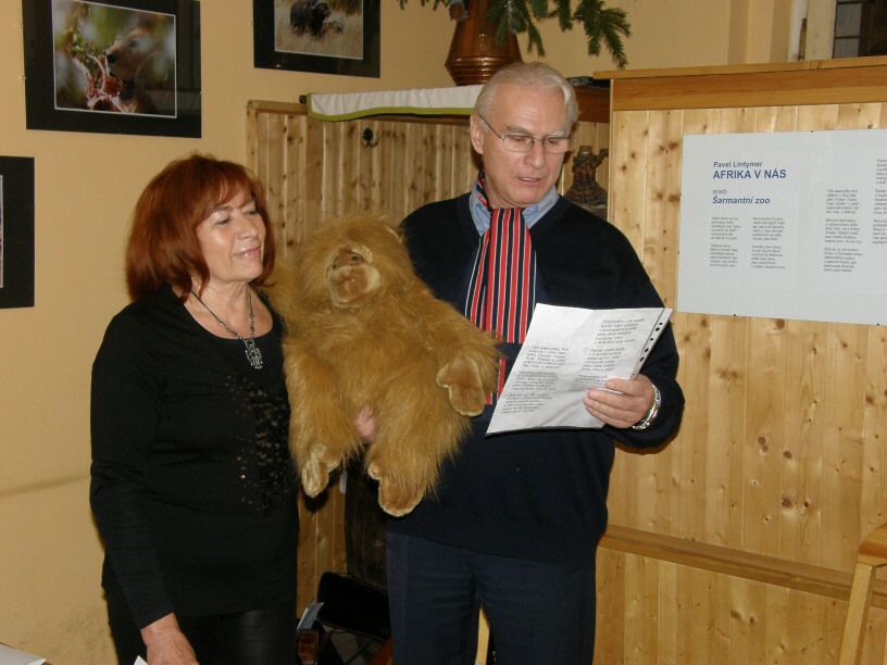 100128j_vernisaz4a