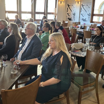 Česká marketingová společnost - Výzkum Češi a reklama 2025