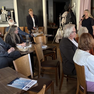 Česká marketingová společnost - Výzkum Češi a reklama 2025